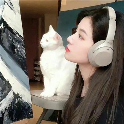 曼谷魅力